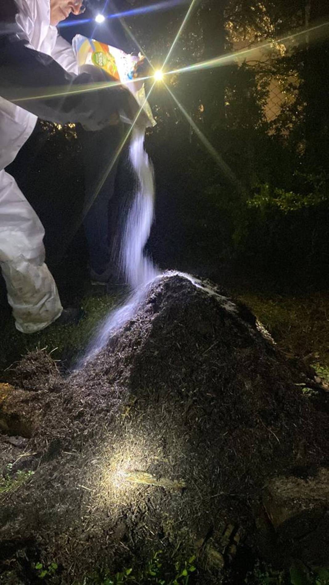 Orman yangınlarından sonra şimdi de 'dumansız yangın' paniği! On binlercesi doğaya salındı 5